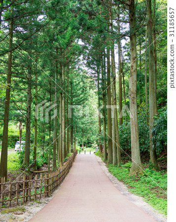 Iwami Ginzan Townscape 31185657