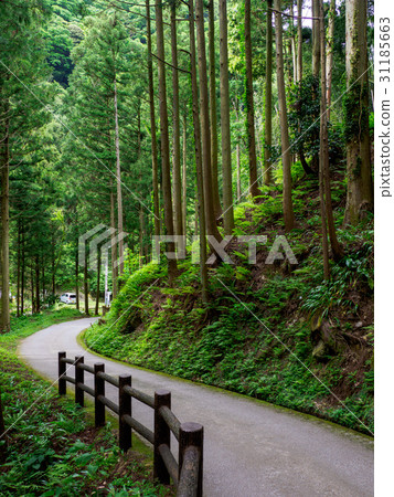 Iwami Ginzan Townscape 31185663