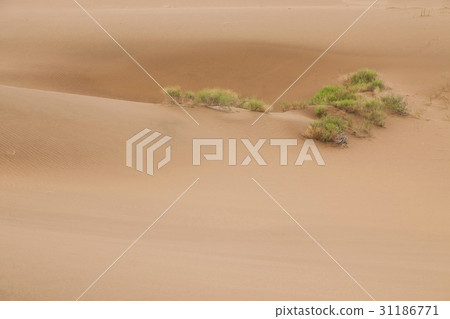 Bar Jinsun Desert, Inner Mongolia, China 31186771