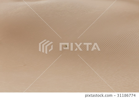 Bar Jinsun Desert, Inner Mongolia, China 31186774