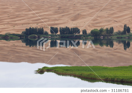 酒吧金山沙漠,內蒙古,中國 酒吧金山沙漠,內蒙古,中國 31186781