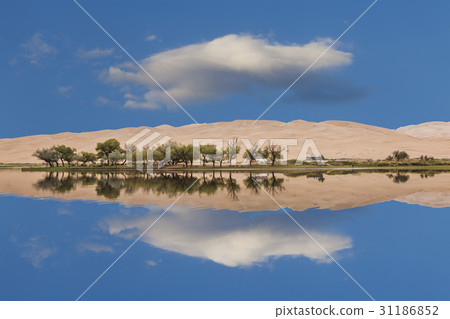 Oasis, Bar Jinsun Desert, Inner Mongolia, China 31186852