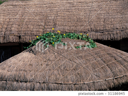 Yongin Folk Village, Yongin-si, Gyeonggi-do 31186945