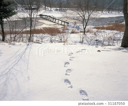 Sudan, Juchun, Yeongwol-gun, Gangwon-do 31187050
