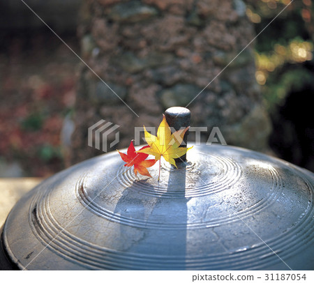 Maple Leaf, Pot, Yongin Folk Village, Yongin City, Gyeonggi-do 31187054