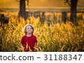small child in a field at sunset 31188347