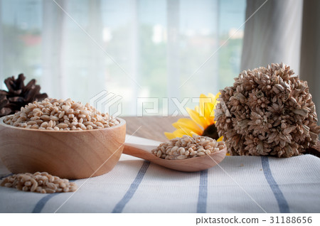 pearls barley grain seed on background. 31188656