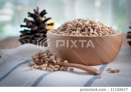 pearls barley grain seed on background. 31188657