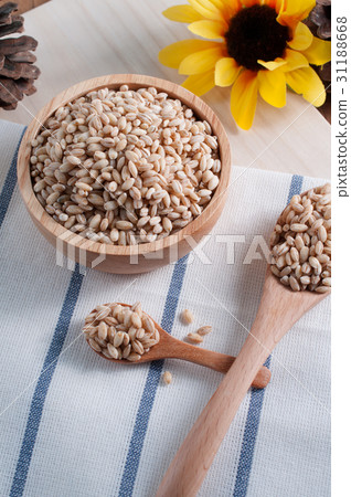 pearls barley grain seed on background. 31188668