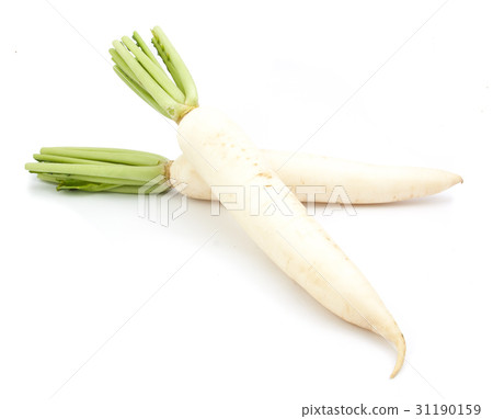 daikon radishes isolated 31190159