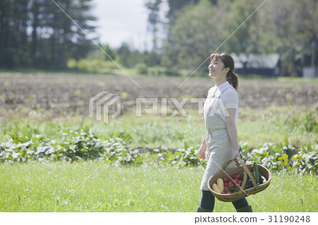享受家庭菜園的婦女 享受家庭菜園的婦女 31190248
