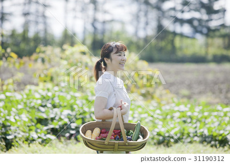 享受家庭菜園的婦女 享受家庭菜園的婦女 31190312