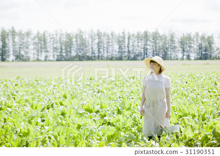 Agriculture girls Agriculture girls 31190351