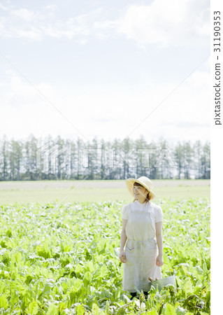 Agriculture girls Agriculture girls 31190353