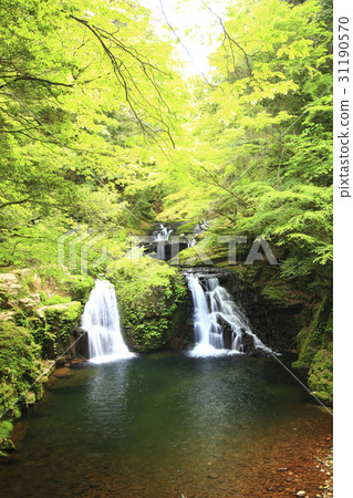 Red-Eyes Advance Falls Red-Eyes Advance Falls 31190570