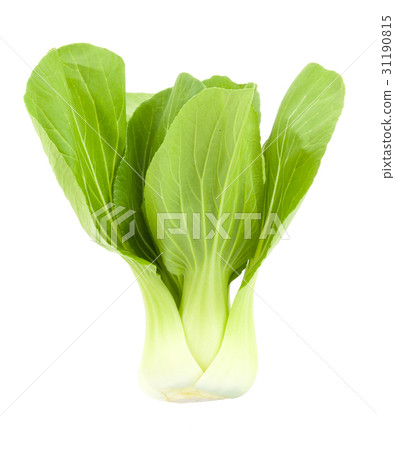 Baby Pak Choy on white Baby Pak Choy on white 31190815