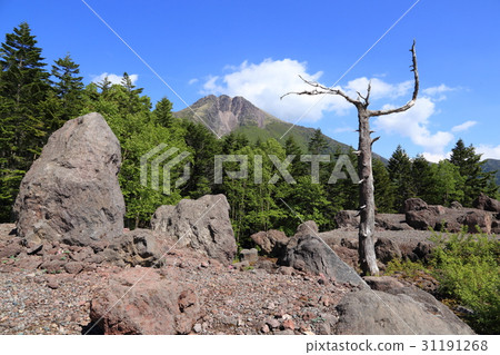 Nikko Shirane san seen from the top of the ropeway summit station 31191268