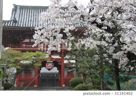 Bokuso寺 Bokuso寺 31191402