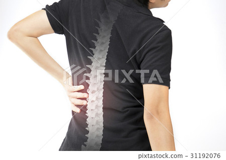 spine bones injury 31192076
