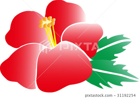 芙蓉圖 芙蓉圖 31192254