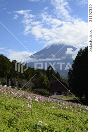 Fuji and ranch Fuji and ranch 31192530