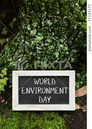 chalkboard with the text world environment day chalkboard with the text world environment day 31193272