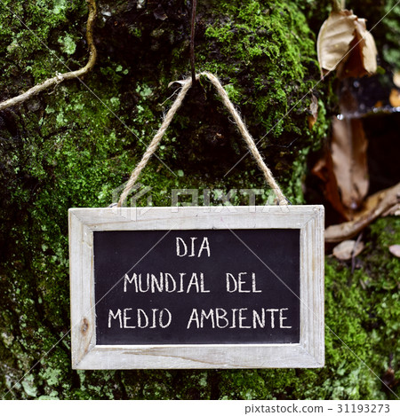 text world environment day in spanish 31193273
