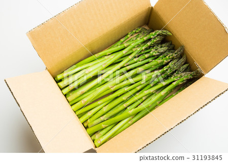 蘆筍 蘆筍 31193845