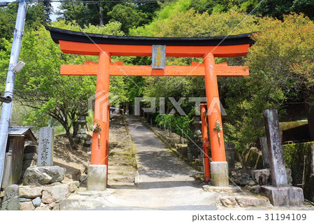奈良Hatsue Yuiki天馬神社 31194109