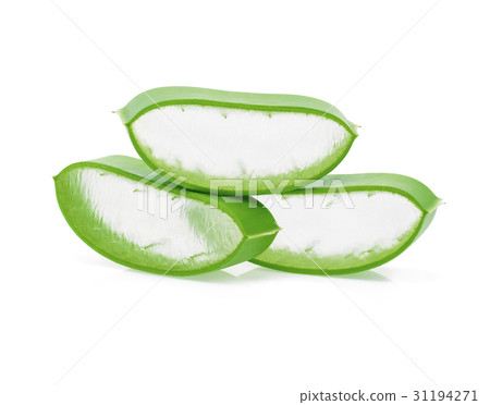 Aloe vera fresh leaf isolated on white background Aloe vera fresh leaf isolated on white background 31194271