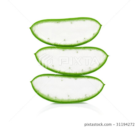 Aloe vera fresh leaf isolated on white background Aloe vera fresh leaf isolated on white background 31194272
