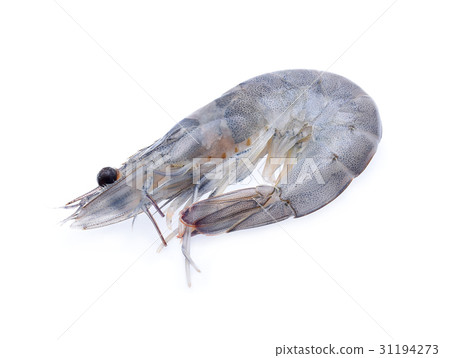 Raw prawns isolated on white background Raw prawns isolated on white background 31194273