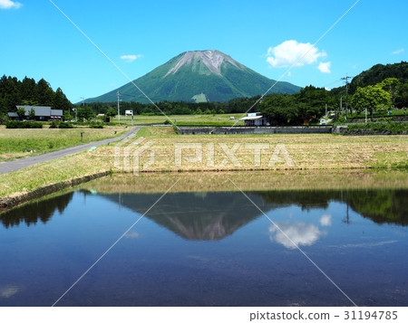 顛倒反映在稻田Oyama倒立大仙 顛倒反映在稻田Oyama倒立大仙 31194785