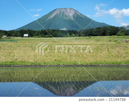 Upside down reflected in paddy Oyama Inverted Daisen 31194786