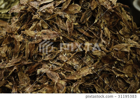 Dried shredded squid Dried shredded squid 31195383