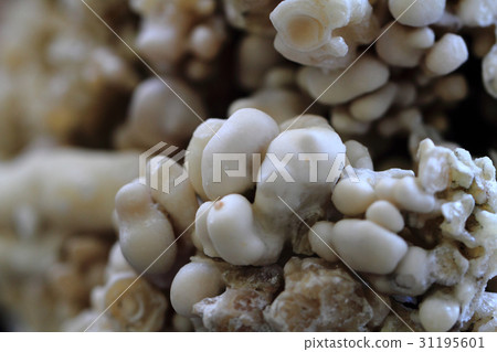 calcite mineral texture 31195601