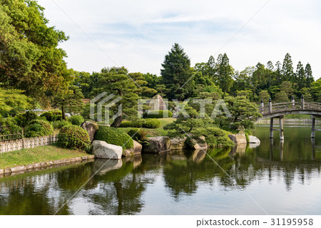 Japanese garden Japanese garden 31195958