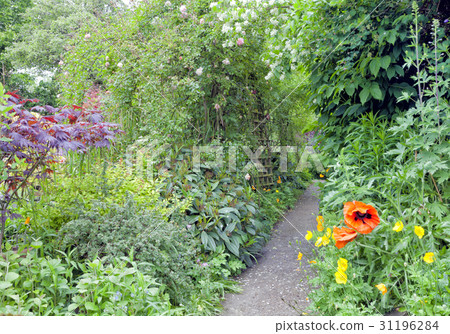 Colorful summer fkpwer garden with stone pathway 31196284