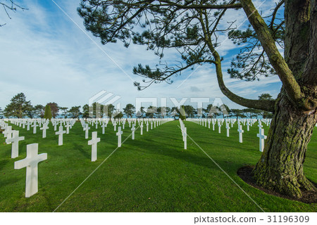 White crosses in American Cemetery, France White crosses in American Cemetery, France 31196309