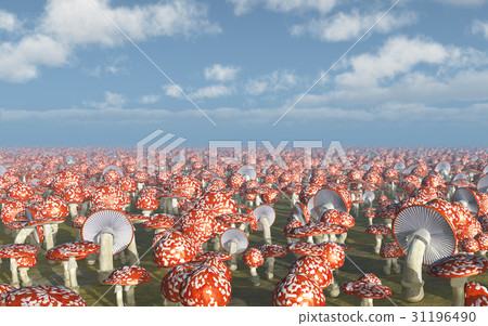Amanita muscaria Amanita muscaria 31196490