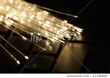 Enter to network by fiber optical network cable 31196666