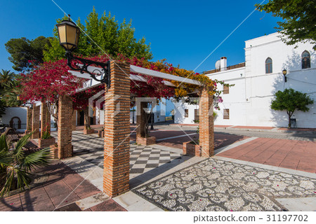 flowers on streets in Maro near NErja,Spain 31197702