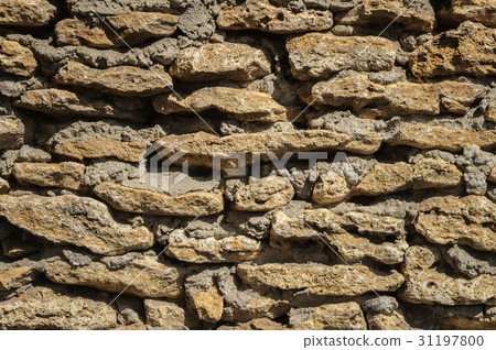Rough coquina stones wall Rough coquina stones wall 31197800