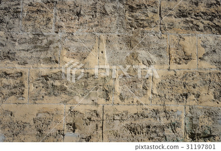 Scratched coquina stone wall 31197801