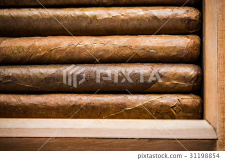 Overhead view on humidor with cigars 31198854