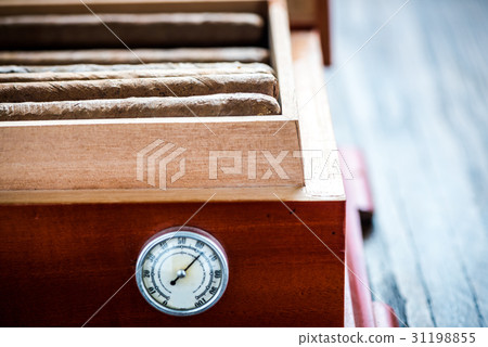 Close view on cedar wood humidor with cigars 31198855