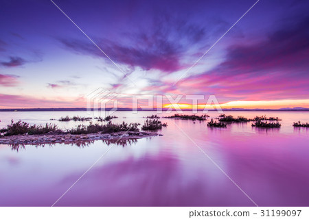 Laguna Salada in Torrevieja,Spain. Salted lake 31199097