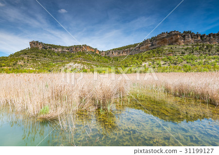 Mountains reflection in lake with grass 31199127