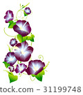 牽牛花例證 31199748