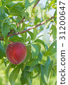 Branched peaches 31200647